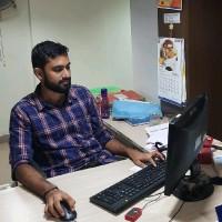 Narayanan T R