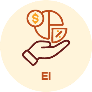 Equity Investment